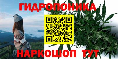 индика Беслан