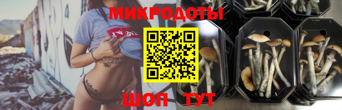 Берёзовский  Псилоцибиновые грибы ЛСД  Вход с VPN  Галлюциногенные грибы MAGIC MUSHROOMS 